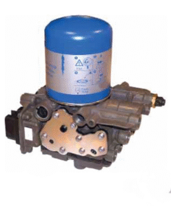 Adobe Express - file (1)