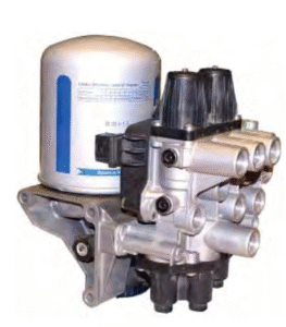 Adobe Express - file (2)