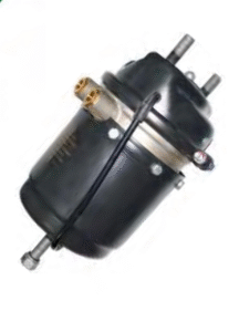 Adobe Express - file (3)